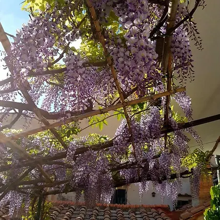 Apartmán Casa Dell'ermanna Cortona